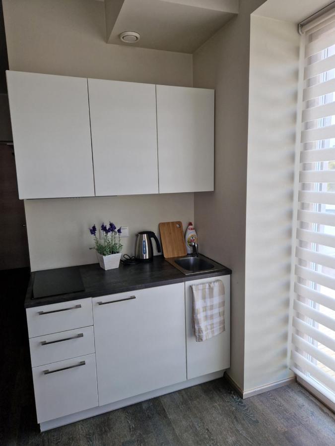 Aisa 39 Apartment Пярну Екстер'єр фото